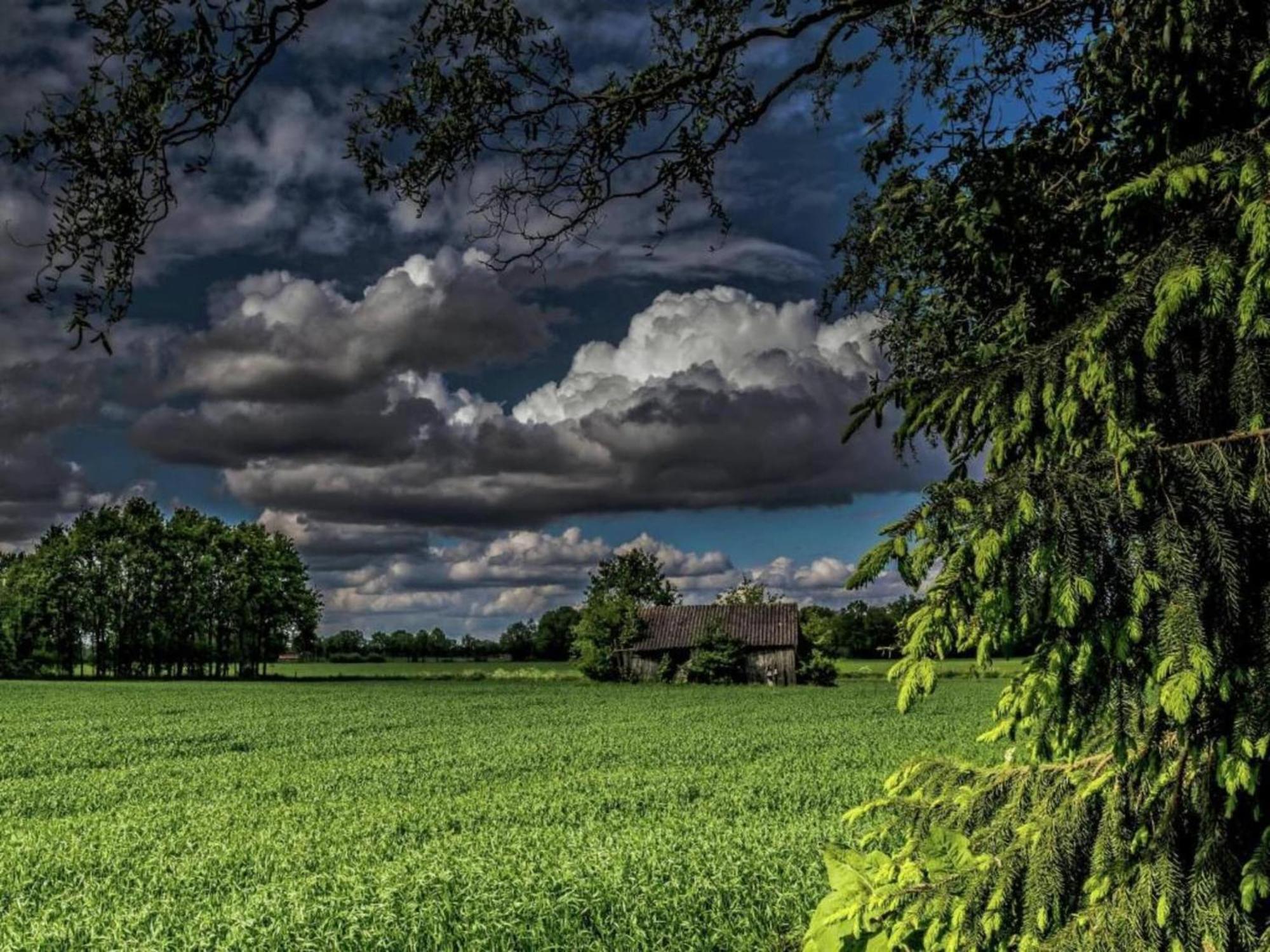 Quaint Farmhouse In Geesteren With Meadow View Bagian luar foto
