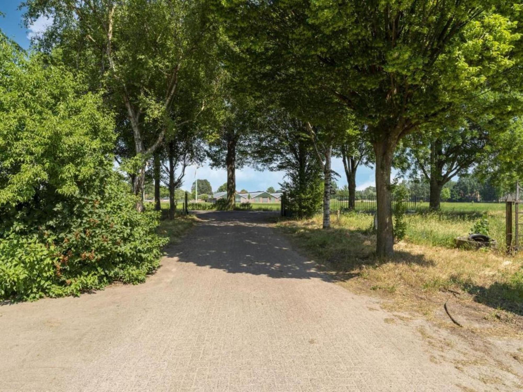 Quaint Farmhouse In Geesteren With Meadow View Bagian luar foto